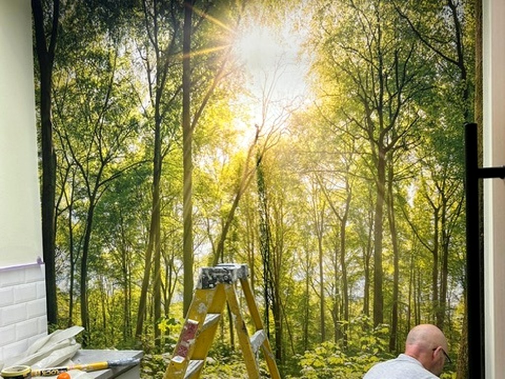 John hanging a large woodland photographic wall mural in a commercial room